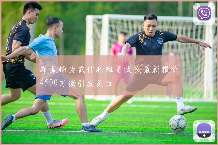 布莱顿为武什科维奇提交最新报价4500万镑引发关注