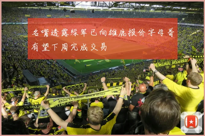 名嘴透露绿军已向雄鹿报价字母哥有望下周完成交易