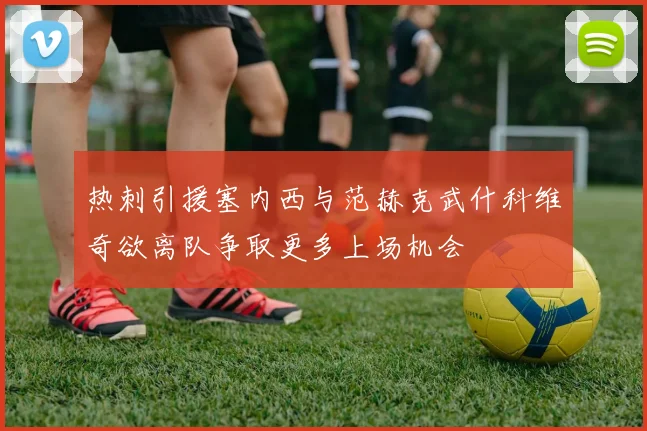 热刺引援塞内西与范赫克武什科维奇欲离队争取更多上场机会