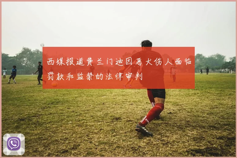 西媒报道费兰门迪因恶犬伤人面临罚款和监禁的法律审判